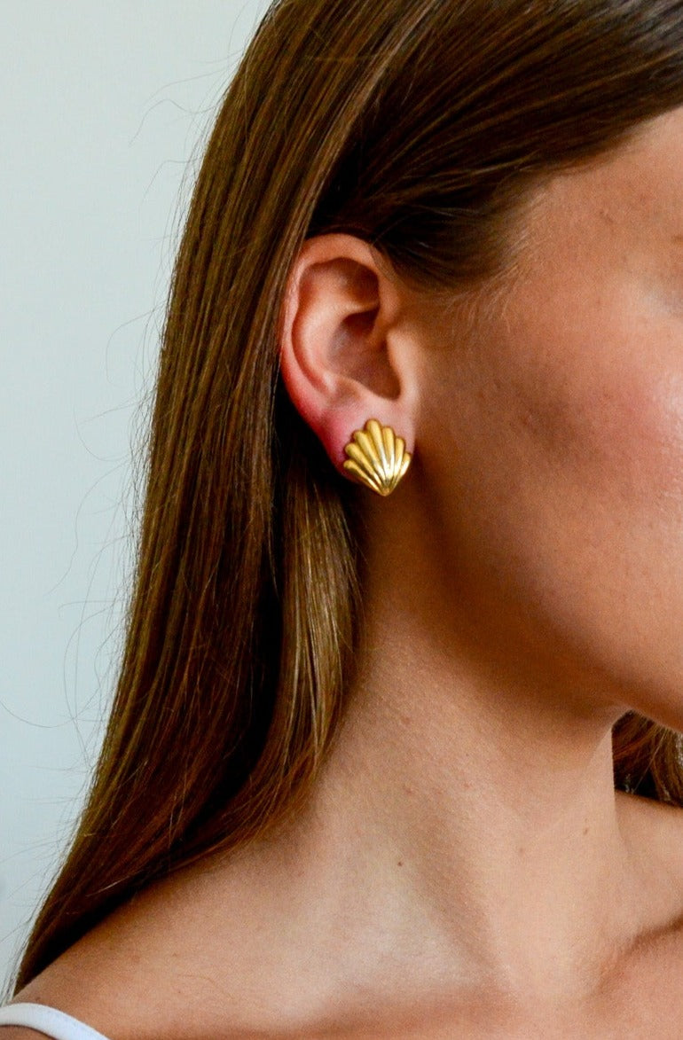 Scalloped Shell Earring