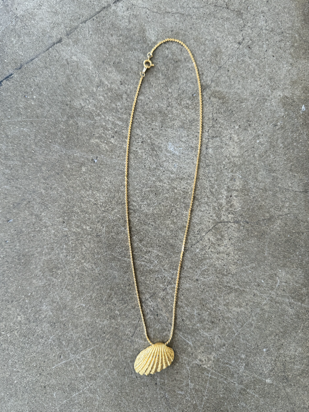 Sea Shell Charm Necklace