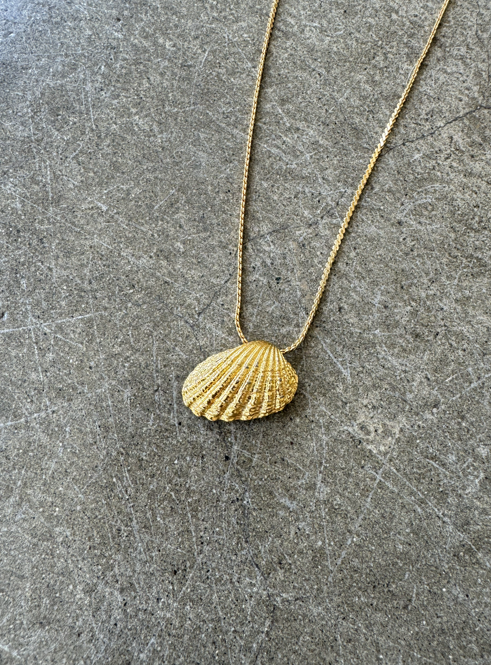 Sea Shell Charm Necklace